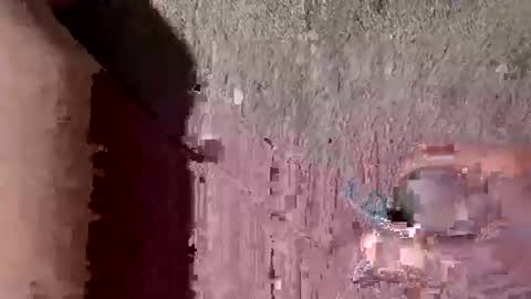 whitelava_4u online show from 09/26/25, 10:30