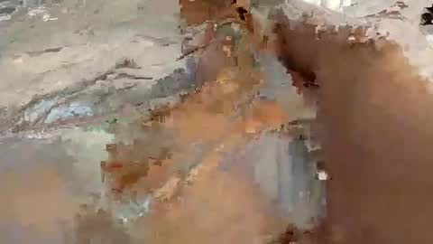 whitelava_4u online show from 11/30/25, 08:18