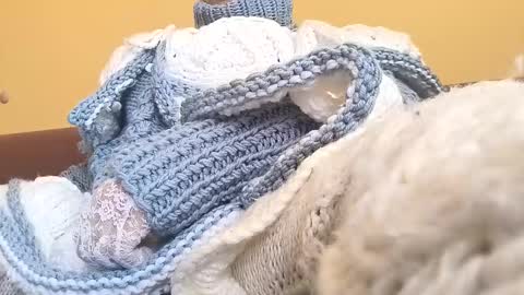 whitesweater online show from 03/23/26, 06:50