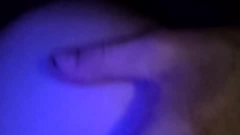 whodunnitwrangler online show from 02/08/26, 05:55