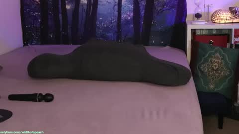 Snapshot of widthofapeach chatting on 02/03/26, 02:53 Gretchen Jimmy online show from 02/03/26, 02:53