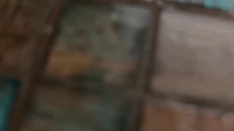 VI online show from 02/10/26, 10:19