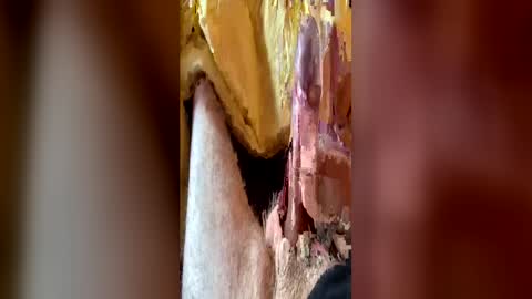 wifefantasizing online show from 06/17/26, 08:06