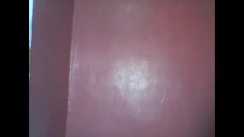 wild_sunflower11 online show from 12/08/24, 03:43