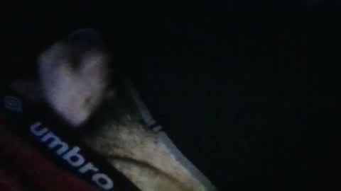 Snapshot of wildealexyz chatting on 10/17/25, 11:46 WildeAlex online show from 10/17/25, 11:46