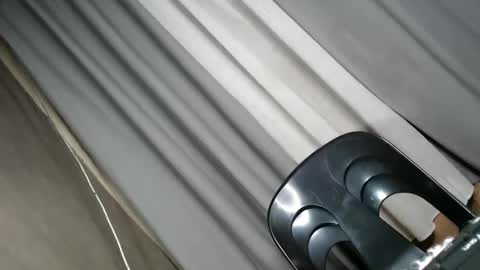 wildest_dream1 online show from 03/19/26, 08:57