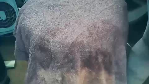 Snapshot of wildman6 chatting on 03/26/26, 07:19 wildman6 online show from 03/26/26, 07:19