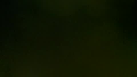 WildPersia online show from 03/08/25, 09:08