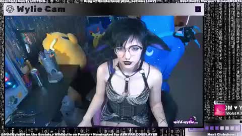 Snapshot of wildwylie chatting on 01/03/25, 04:00 Wylie Wanderlust online show from 01/03/25, 04:00