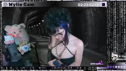 Snapshot of wildwylie chatting on 01/15/25, 04:57 Wylie Wanderlust online show from 01/15/25, 04:57