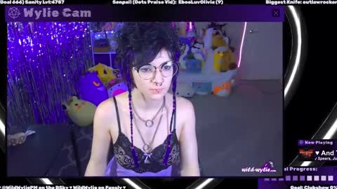 Snapshot of wildwylie chatting on 02/04/25, 03:22 Wylie Wanderlust online show from 02/04/25, 03:22