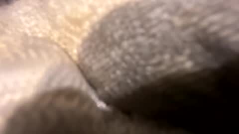 wiley0520 online show from 10/27/25, 11:36