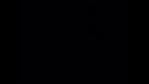 wiley0520 online show from 03/03/26, 06:41