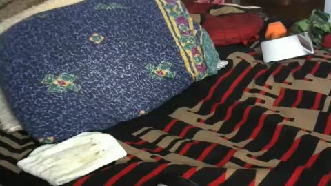 Willamyth online show from 02/09/25, 09:58