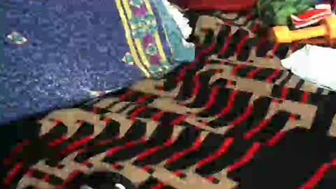 Willamyth online show from 02/18/25, 08:49