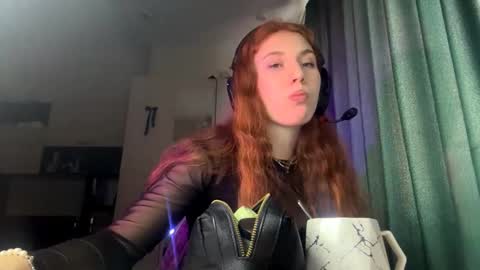 Snapshot of willeneroediger chatting on 02/16/26, 02:13 Alice online show from 02/16/26, 02:13