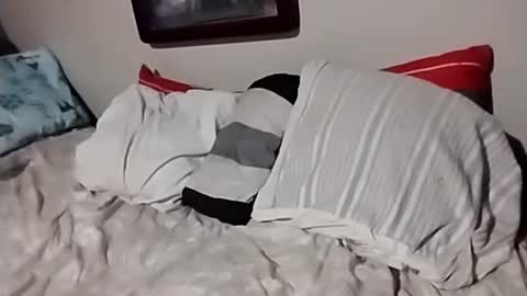 willfast online show from 10/07/25, 07:05