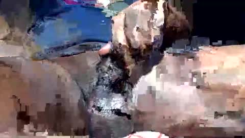 willianel online show from 12/13/25, 11:43