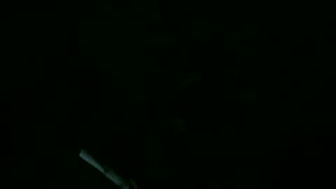 Willhedoher online show from 09/11/25, 11:43