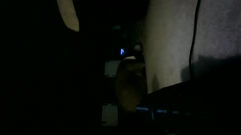 Willhedoher online show from 10/15/25, 12:27