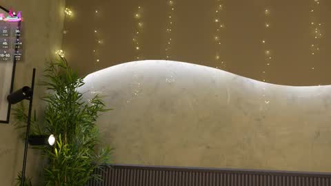 Ms Willow online show from 01/14/26, 11:49