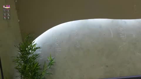 Ms Willow online show from 03/21/26, 11:48