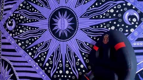 willy_veins online show from 12/03/24, 08:27