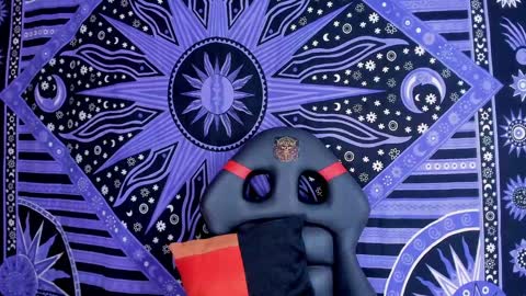 willy_veins online show from 12/21/24, 04:52