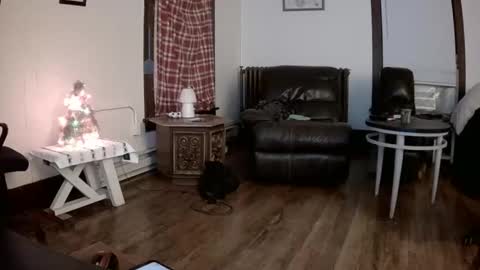 Snapshot of willydogg83 chatting on 12/16/25, 06:07 willydogg83 online show from 12/16/25, 06:07