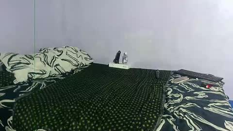 wilmaassylum online show from 12/27/24, 11:50