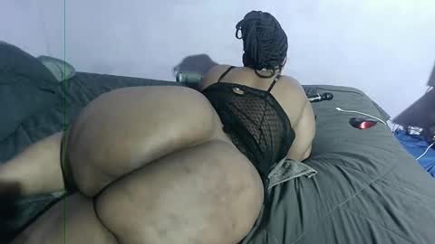 wilmaassylum online show from 01/26/25, 01:36