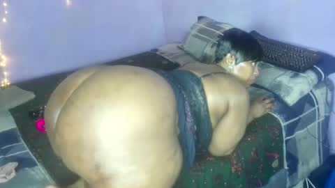 wilmaassylum online show from 10/20/25, 06:14