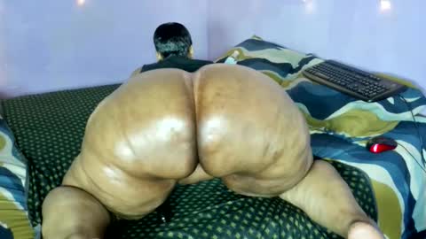 wilmaassylum online show from 11/21/25, 07:18