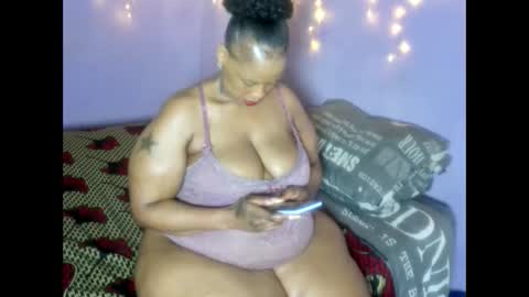 wilmaassylum online show from 01/08/26, 07:43