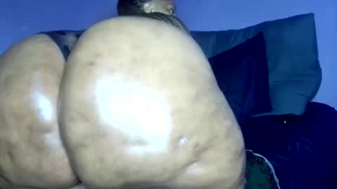 wilmaassylum online show from 03/08/26, 06:28