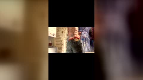 Will online show from 11/25/25, 07:52