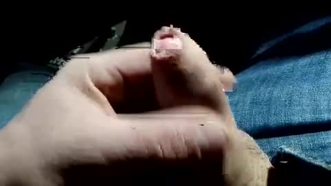 win1987t online show from 12/16/24, 05:27