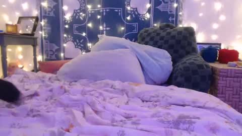 Eevie online show from 12/19/24, 06:23