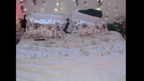 Snapshot of wingardiumleveveosa chatting on 04/29/26, 10:16 Eevie online show from 04/29/26, 10:16