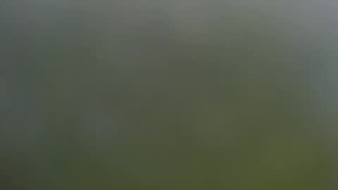 Wisa Randy online show from 11/11/25, 06:08