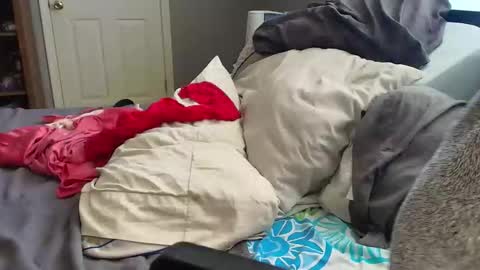 witchbitchmommy online show from 03/18/26, 06:11