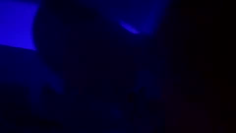 Snapshot of wolf41xxx chatting on 12/15/24, 05:13 WolfX online show from 12/15/24, 05:13