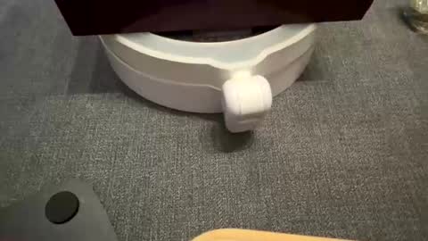 Snapshot of wolf41xxx chatting on 09/17/25, 11:39 WolfX online show from 09/17/25, 11:39