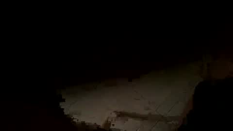 Snapshot of wolf41xxx chatting on 11/14/25, 02:21 WolfX online show from 11/14/25, 02:21