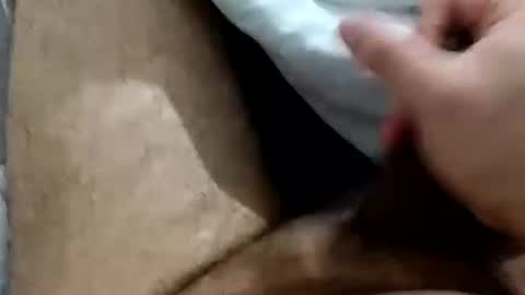 wolfganghanzel online show from 04/28/26, 04:17