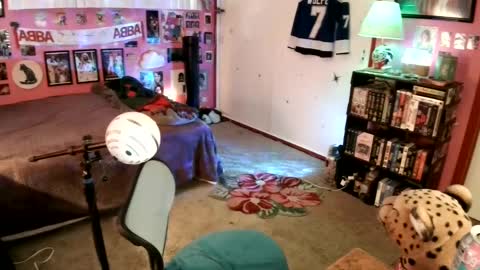 Wolfie online show from 01/09/25, 10:31