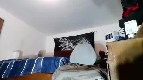 wolfman79 online show from 02/05/26, 11:26