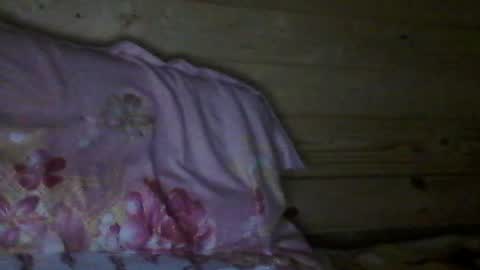 Vili online show from 07/17/26, 04:45