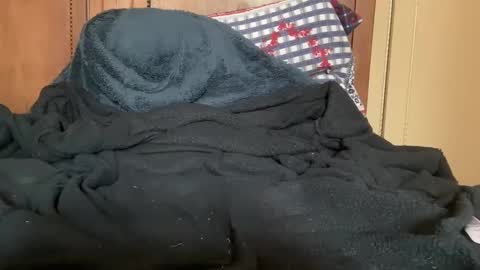 wonkywillywanks online show from 01/31/25, 12:51