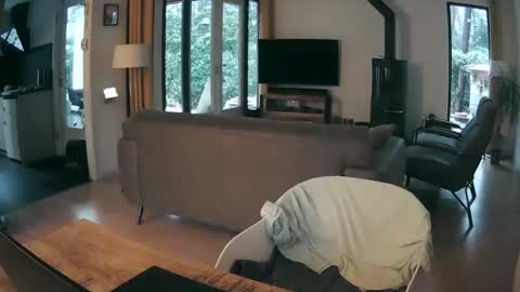 woodwurm and Snoeske online show from 02/19/26, 07:26